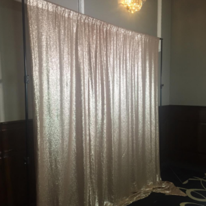 Champagne Sequin Backdrop