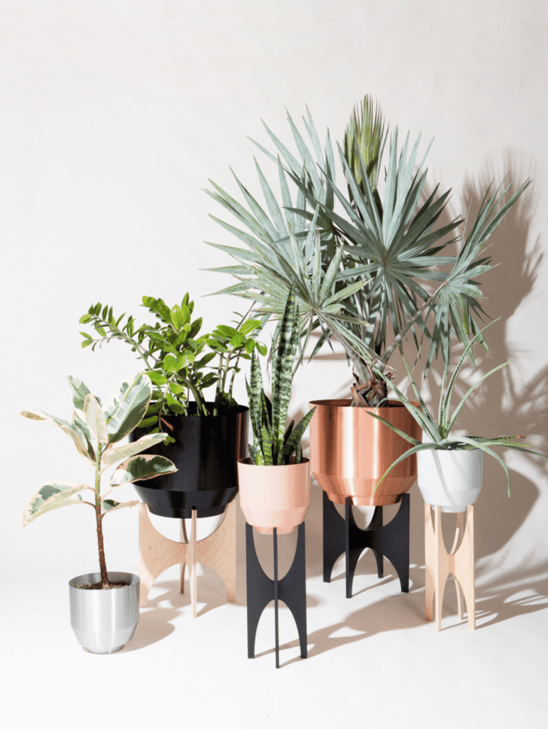 5 Shops To Buy Planters for Large Indoor Plants in Toronto