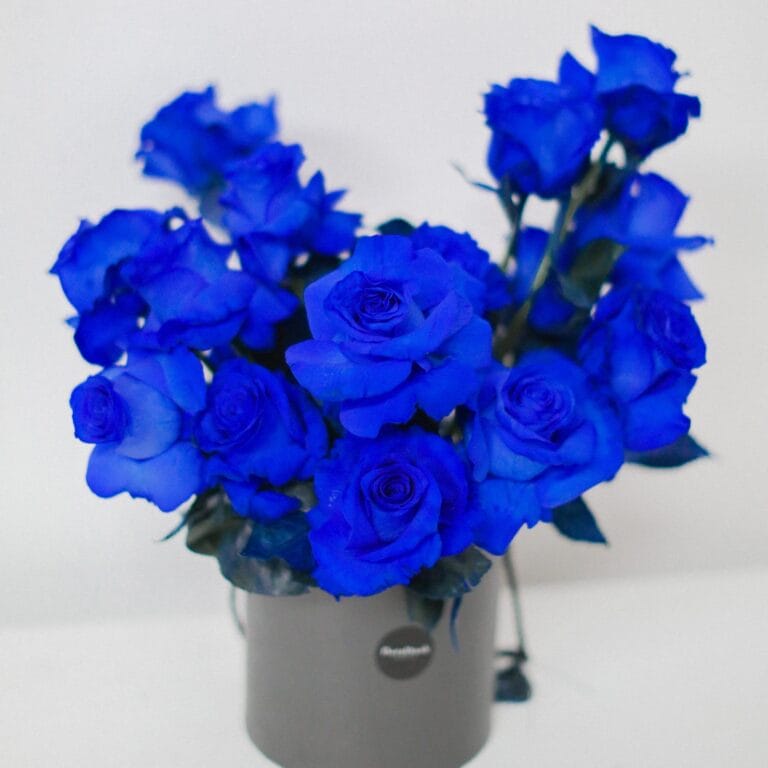 5 Flower Shop to Buy Blue Roses in Toronto