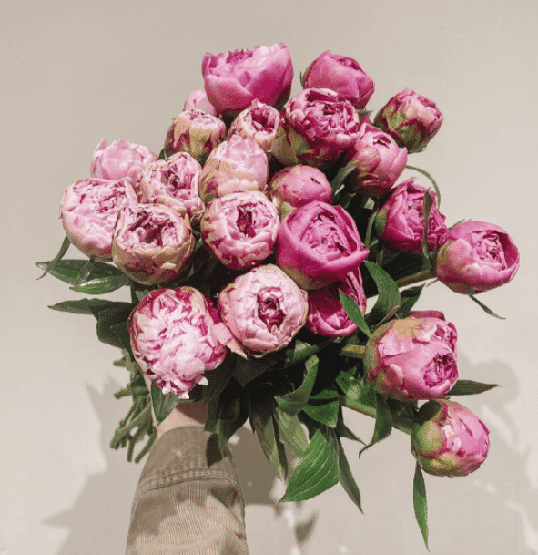 10 Best Flower Shops with Peonies for Delivery in Toronto